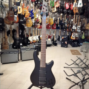 Basso Fernandez Tremor 5 Deluxe 5 corde